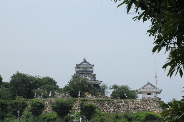 図書館