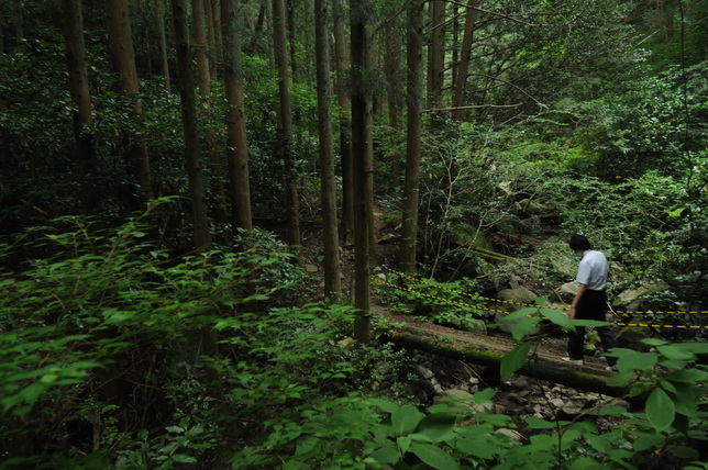 世界農業遺産