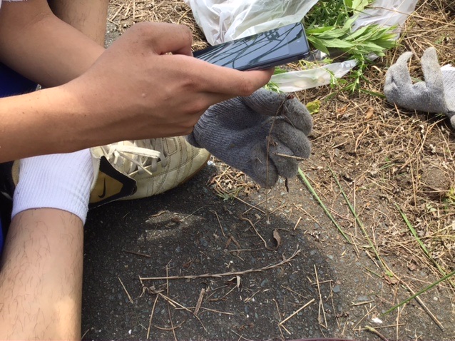 梅雨明け！！